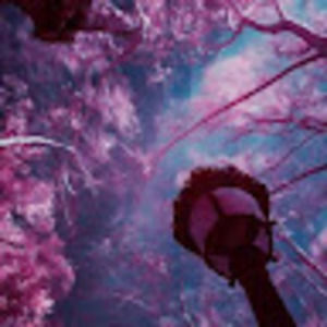 Meet your Posher, Isabel